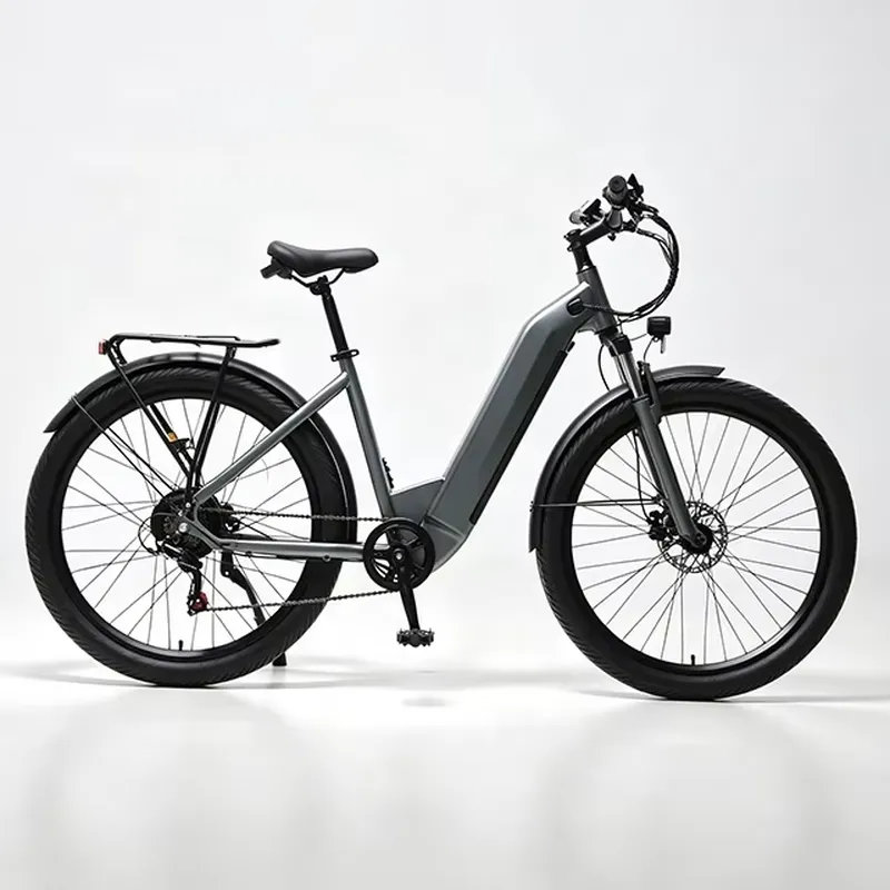 7-versnellings 36V 250W elektr - Cycling Commute Speed recensie en prijs